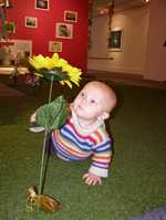 Baby Noel